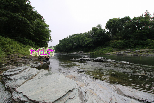 7df81475.jpg