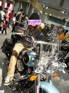 FLSTCとセイ