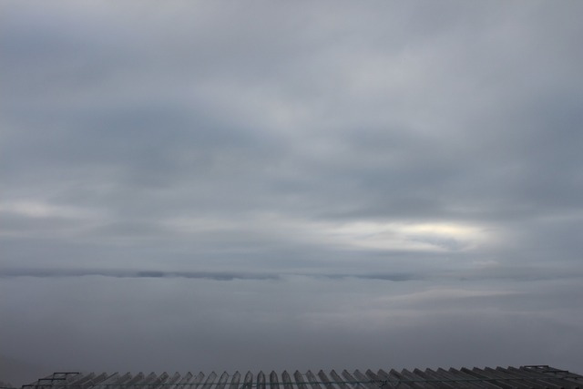 82aa7629.jpg