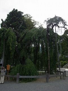 久遠寺 (13)