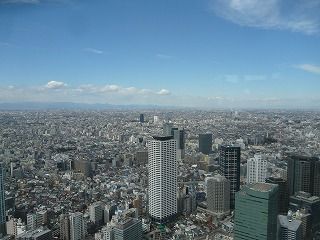 都庁からの景色