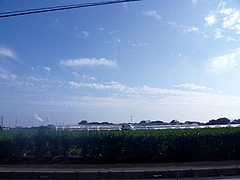 8879810e.jpg