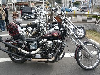 とっしーさんハーレー