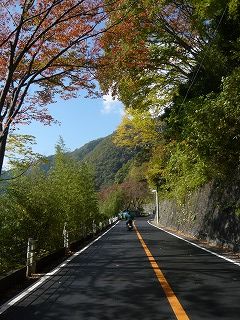 奥多摩へ続く道