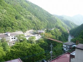 宿からの景色