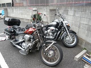 STEEDとシャドウ