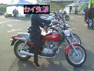 エリミネーターと彼女