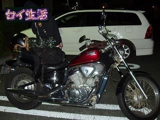 STEED