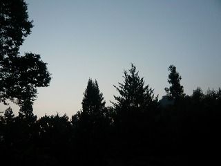 窓からの景色