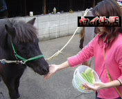 200410150718.jpg