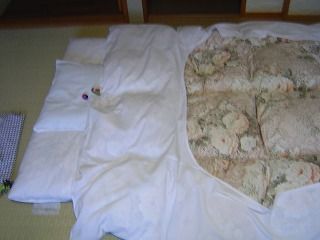 スロライ君起床