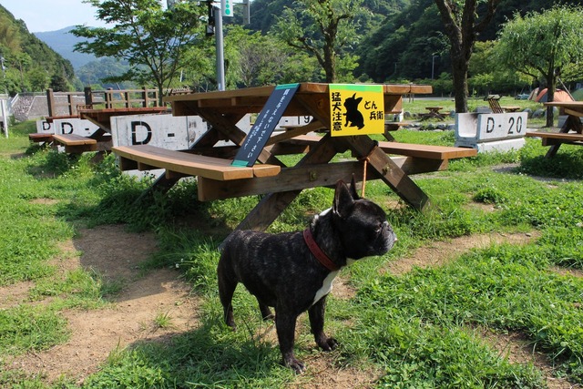 a5d1457f.jpg