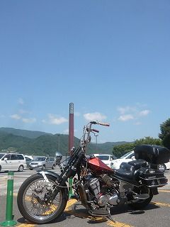 STEED600