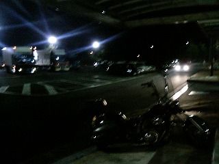 STEEDと夜
