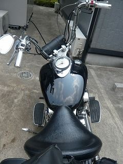 DS1100上から
