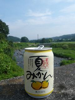 夏みかんと鳥川