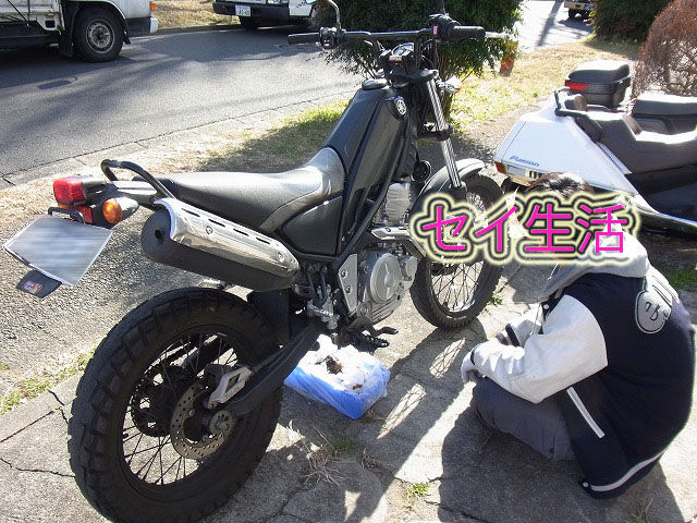 トリッカー (3)