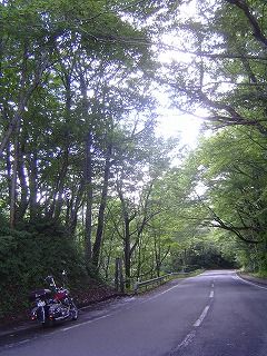 十和田湖の道とスティード
