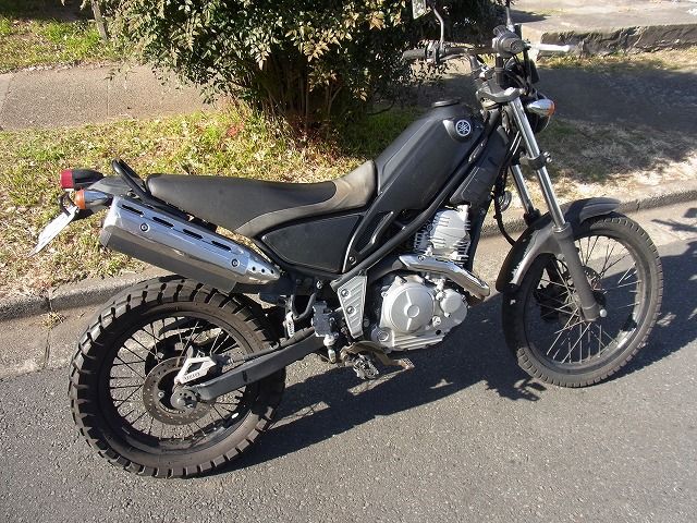トリッカー (6)