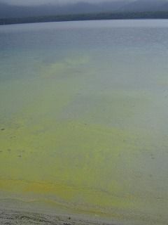 極楽浜3