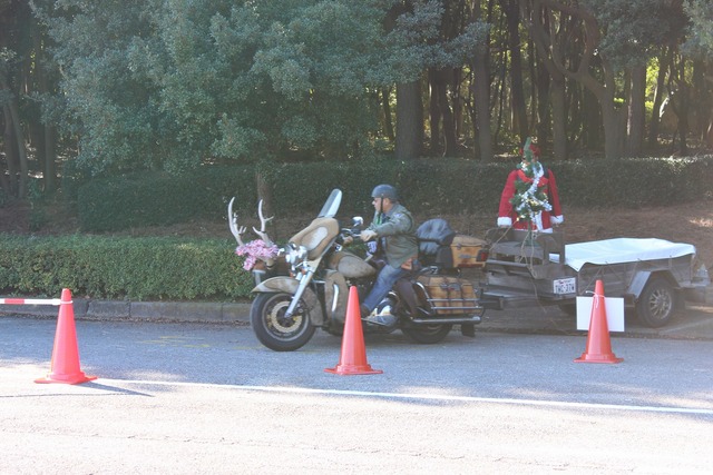 c96a56ac.jpg