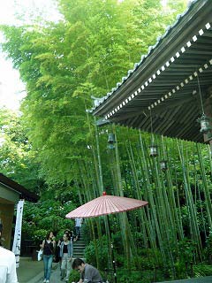 竹林
