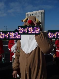 トナカイ