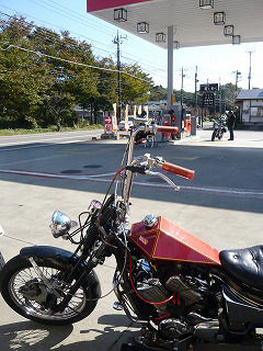 STEED