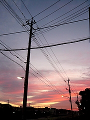 e4421340.jpg