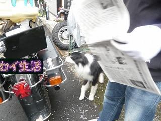 疾風現る