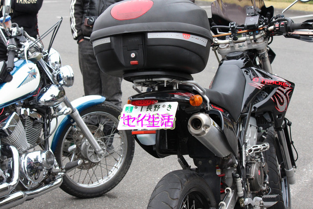 f031210e.jpg