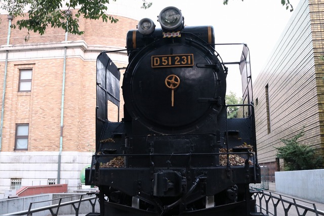 f2009545.jpg