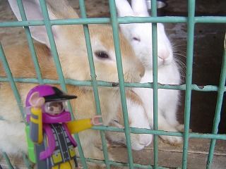 うさぎちゃんとスロライ君2