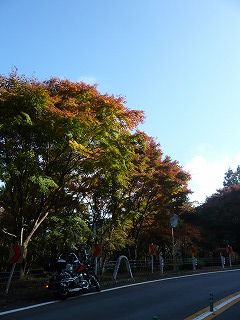 紅葉とスティード