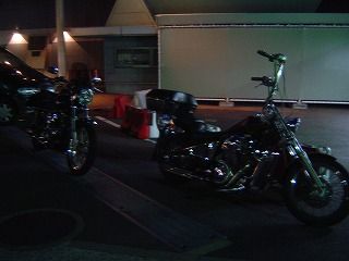 ハーレーとSTEED