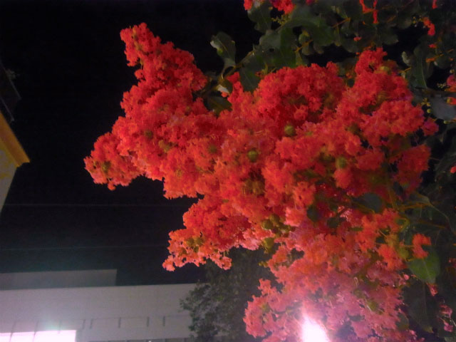 R0019193