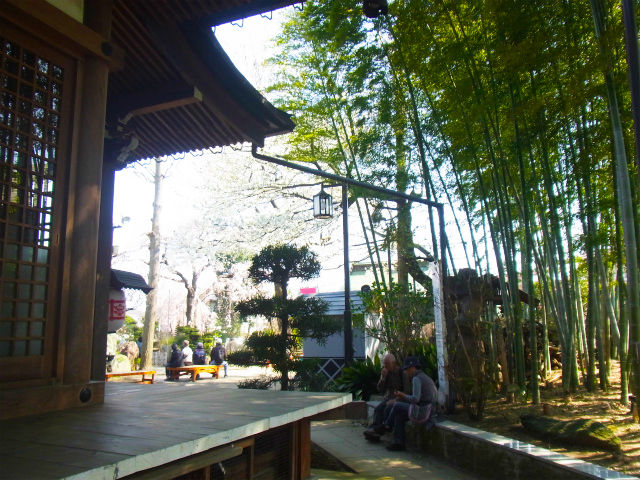 2012ºù (5)