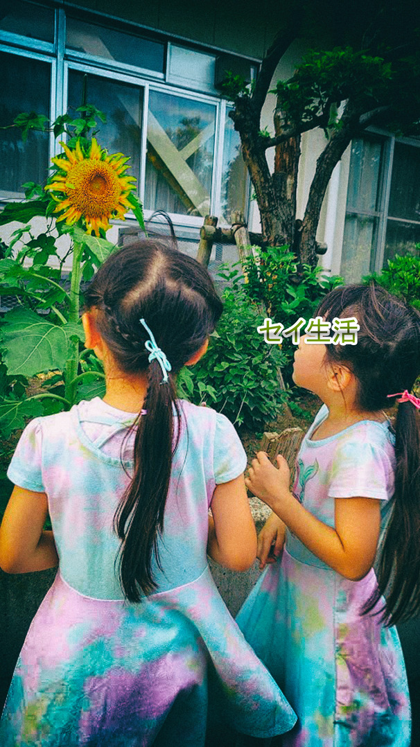 ²ÆµÙ¤ß (12)