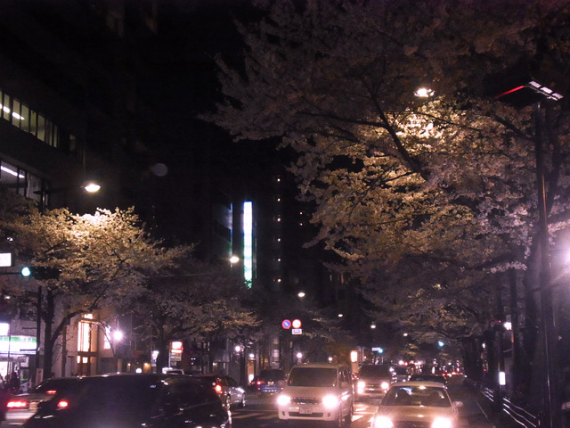 668156ac.jpg