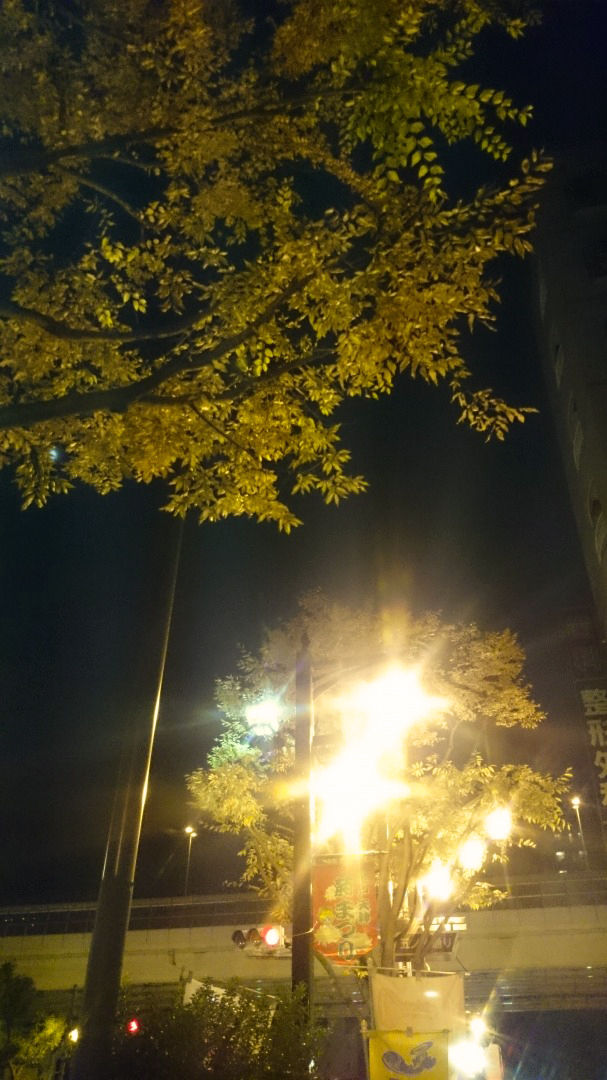 ³¹Ï©¼ù