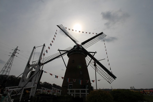b6c2b833.jpg