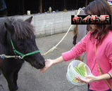 200410150718.jpg