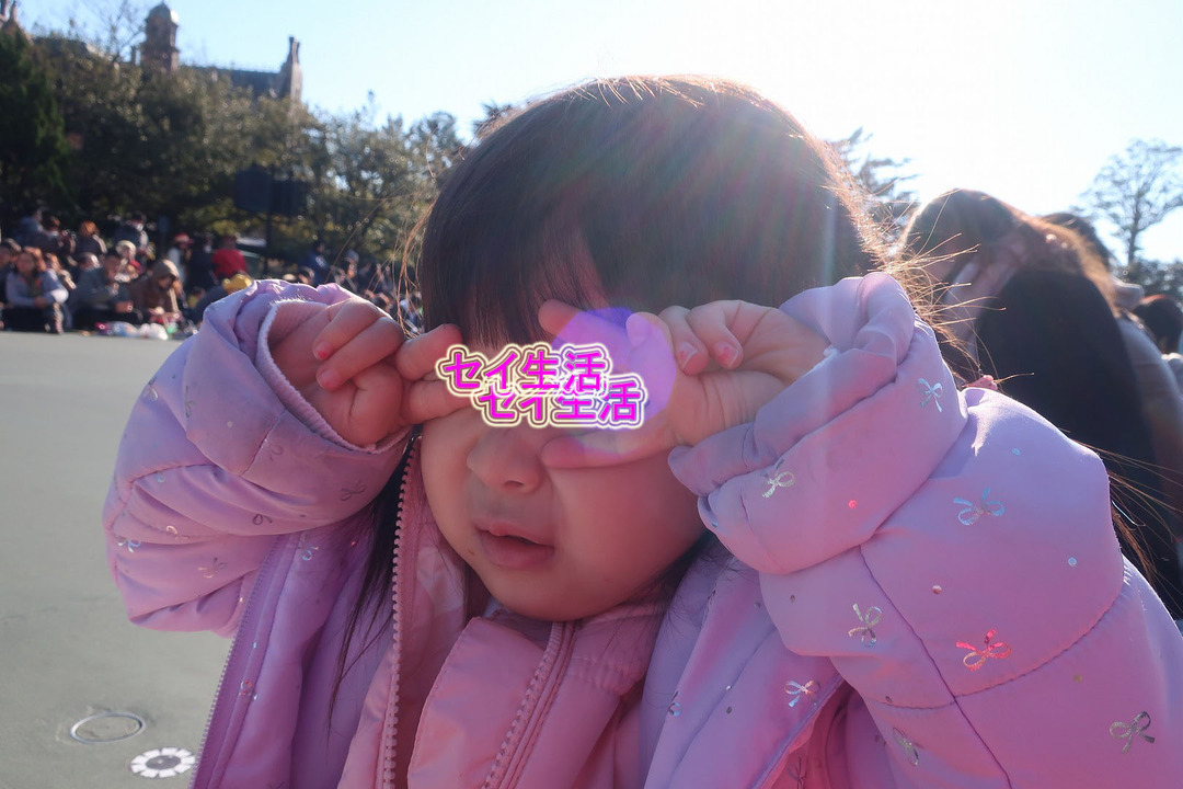 ¥Ç¥£¥º¥Ë¡¼¥é¥ó¥É (17)