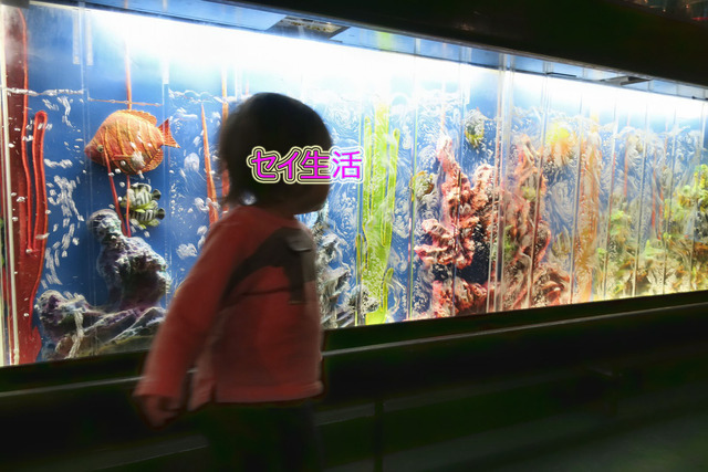 ¥ì¥¤¥ó¥Õ¥§¥ì¥¹¥È¥«¥Õ¥§ (18)