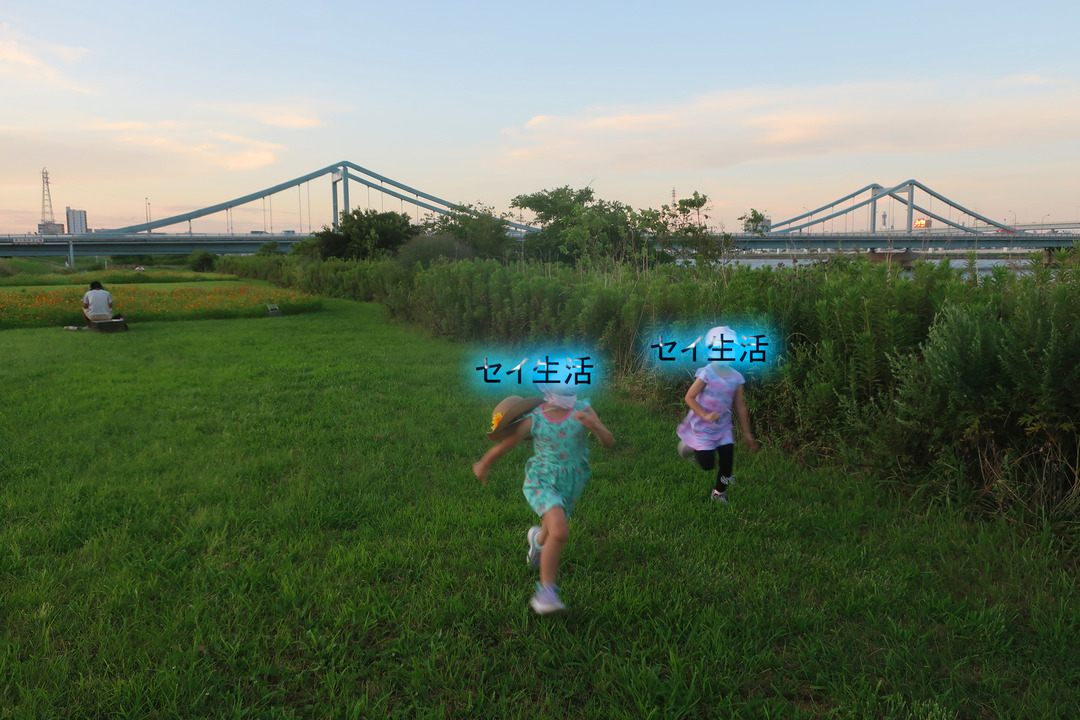 ͼÊý¤Î¹ÓÀî (1)