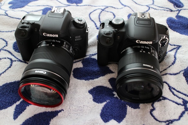 EOS 8000D (4)
