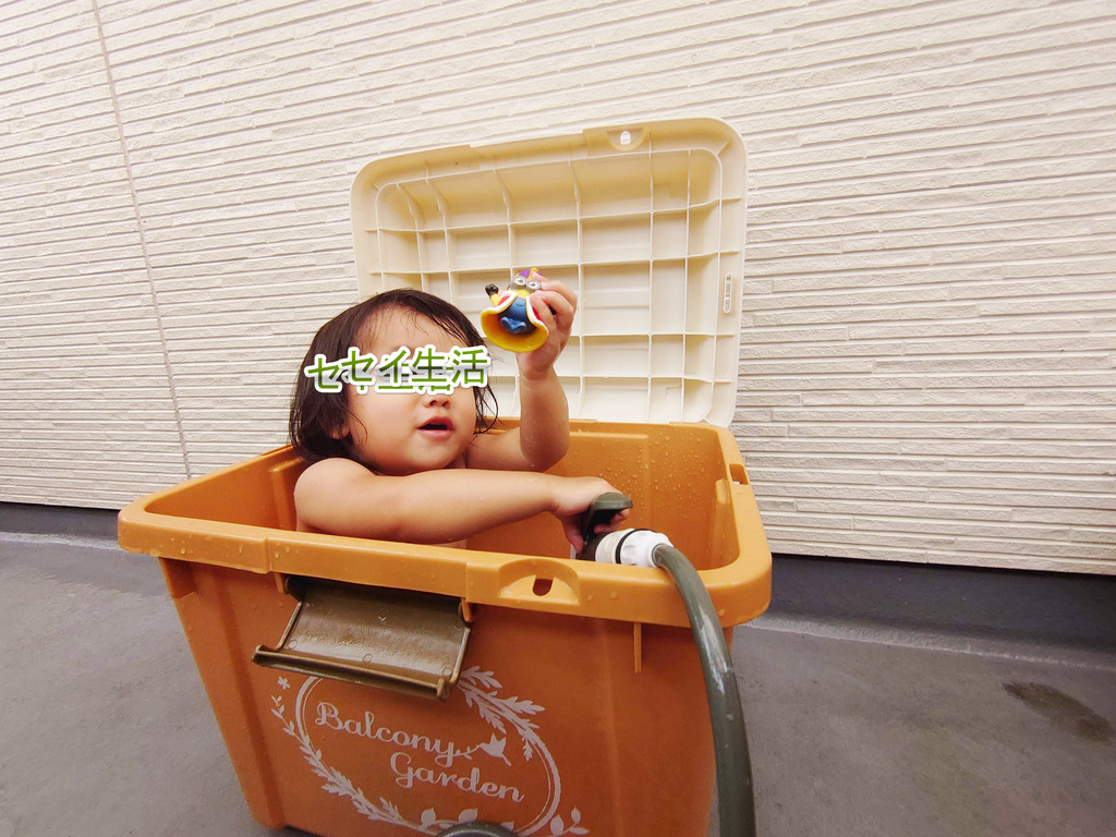 ¥¢¥¸¥µ¥¤