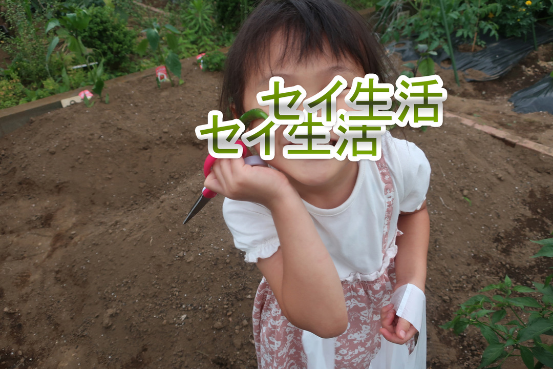 ¥ß¥Ë¥È¥Þ¥È¤È¥¥ã¥Ù¥Ä (17)