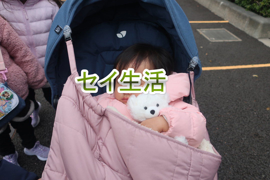 ¥Ç¥£¥º¥Ë¡¼¥é¥ó¥É (1)