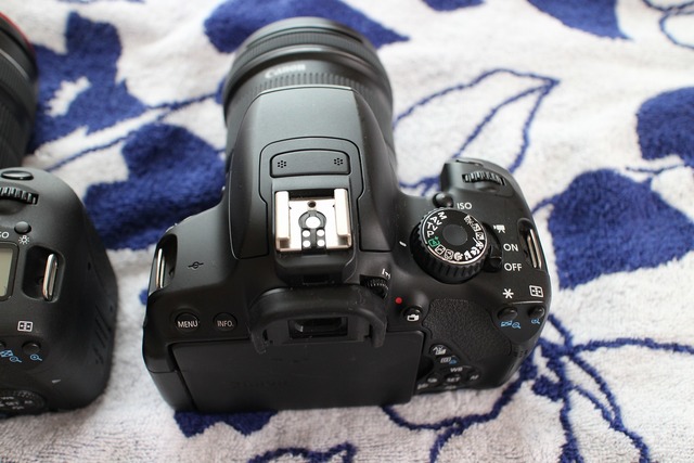 EOS 8000D (5)
